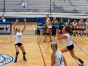 volleyball players