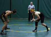 wrestlers